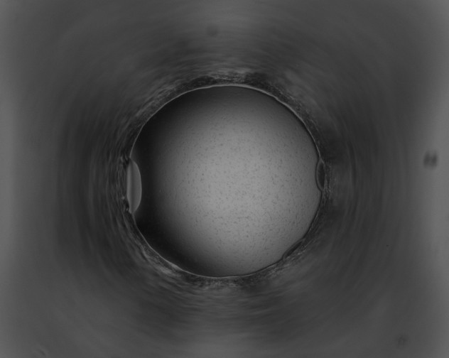 X0000091471154200708301847