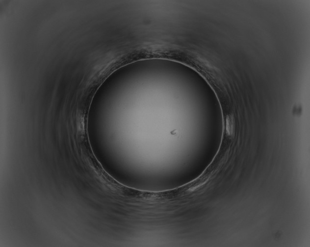 X0000091471155200708301847