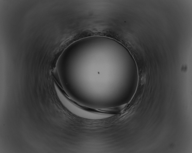 X0000091471156200708301847