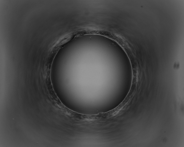 X0000091471157200708301847