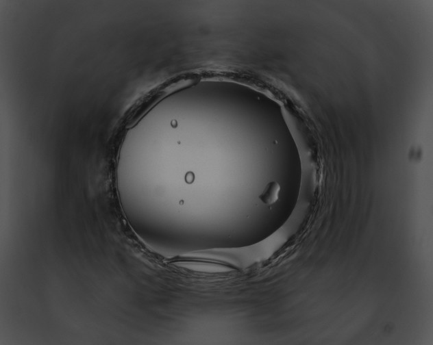 X0000091471160200708301847