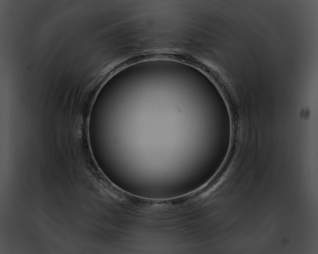 X0000091471161200708301847