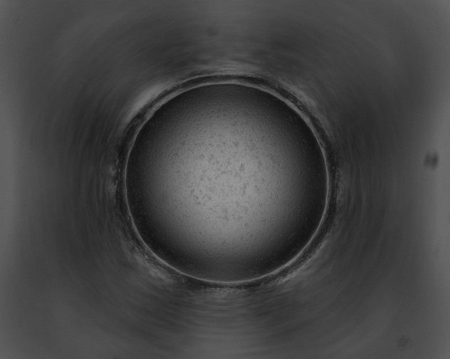 X0000091471163200708301847