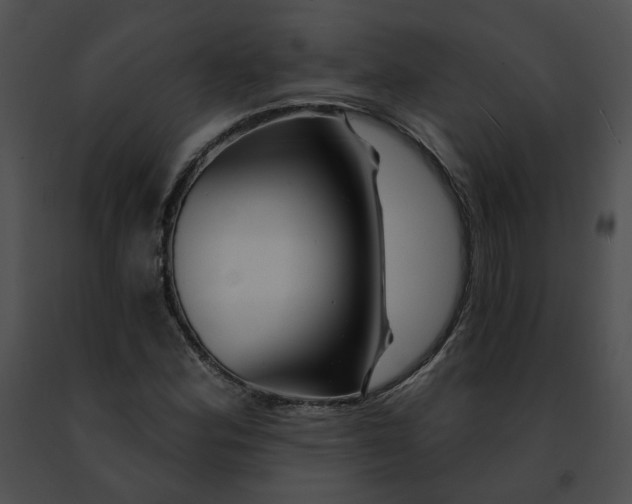 X0000091471164200708301847