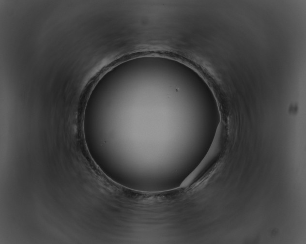 X0000091471165200708301847