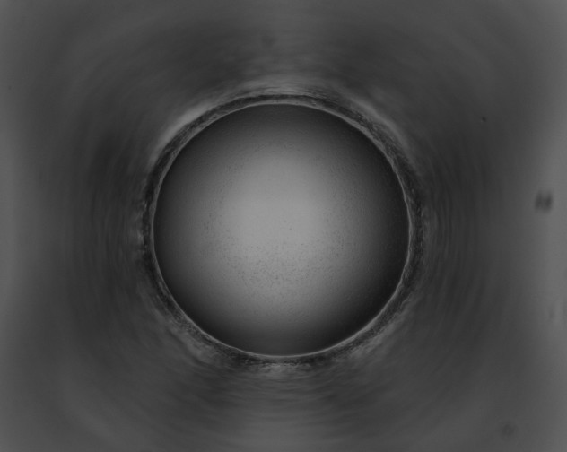 X0000091471166200708301847