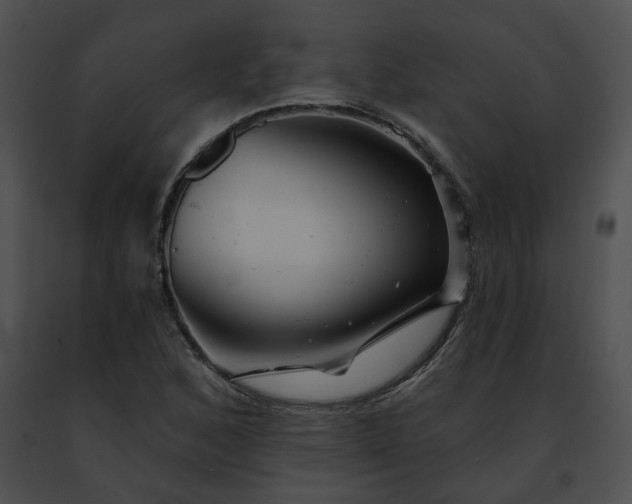 X0000091471168200708301847