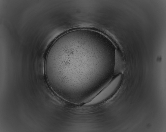 X0000091471171200708301847