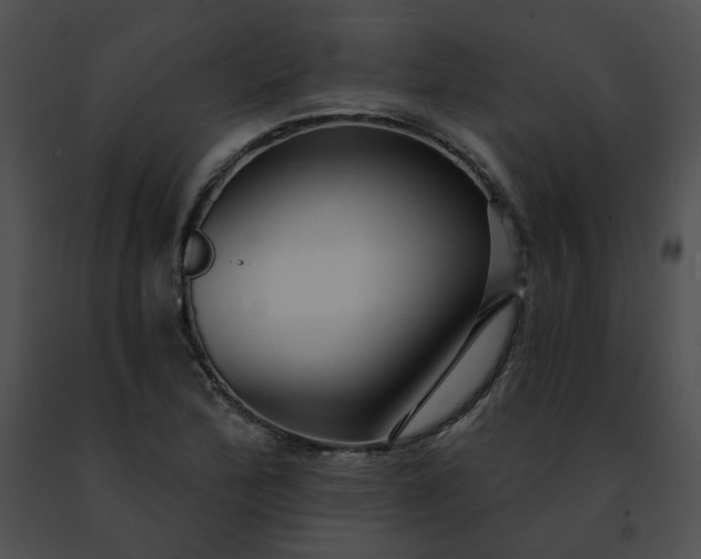 X0000091471172200708301847