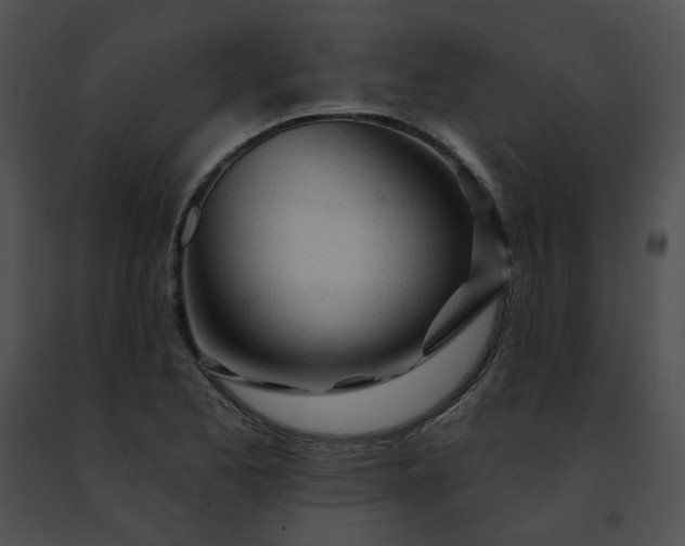 X0000091471173200708301847