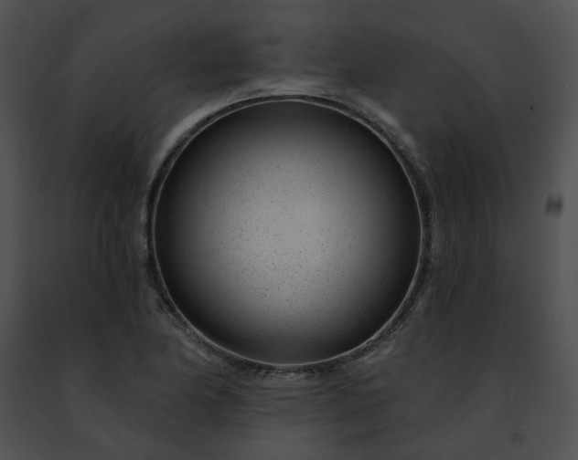 X0000091471174200708301847