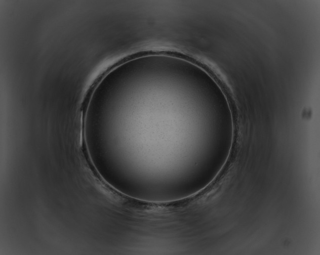 X0000091471175200708301847