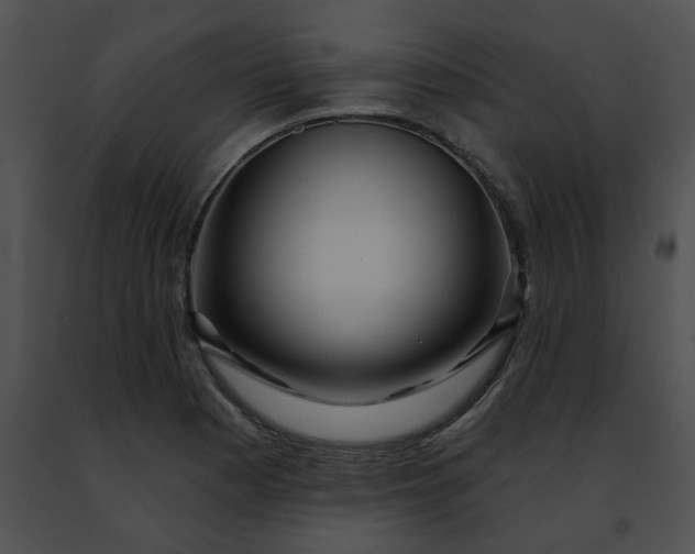 X0000091471177200708301847