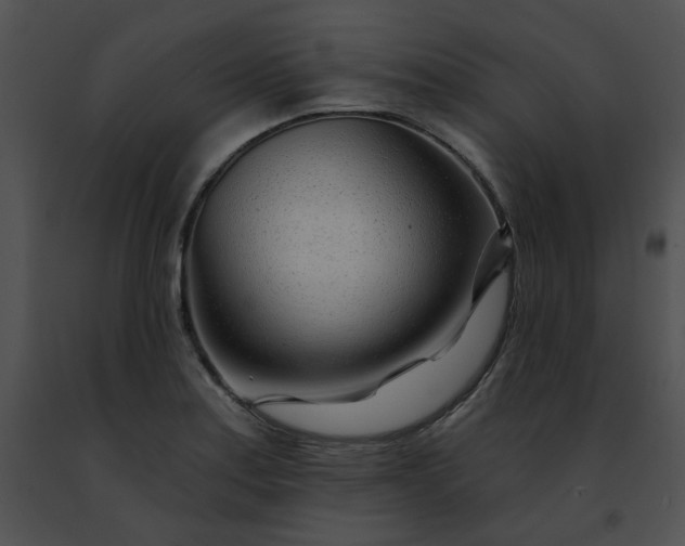 X0000091471179200708301847