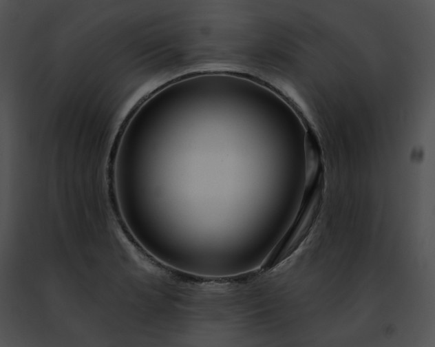 X0000091471181200708301847