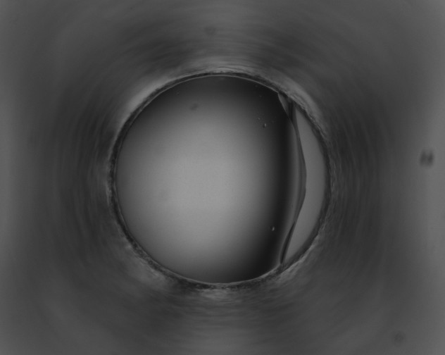 X0000091471182200708301847