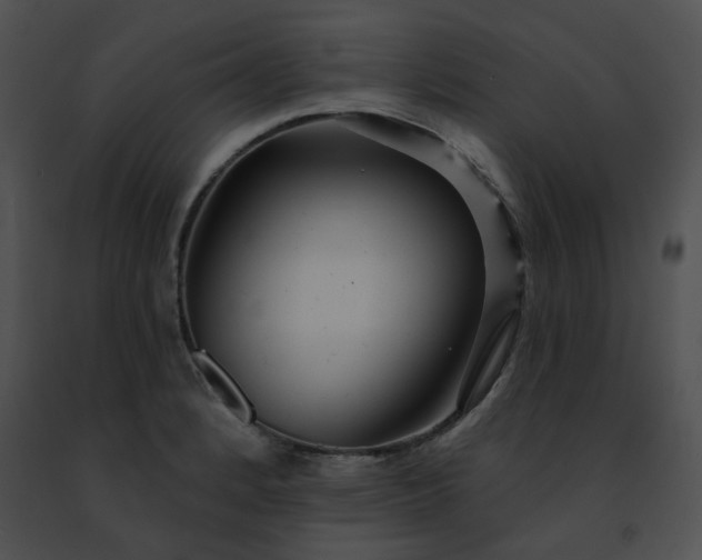 X0000091471184200708301847