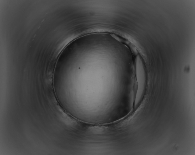 X0000091471185200708301847