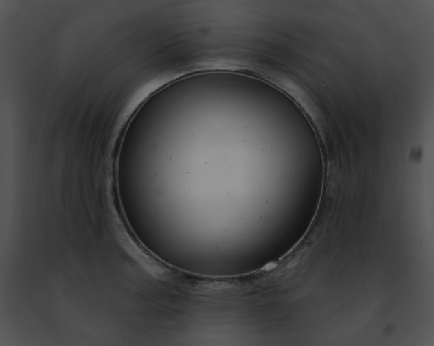 X0000091471187200708301847