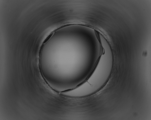 X0000091471188200708301847