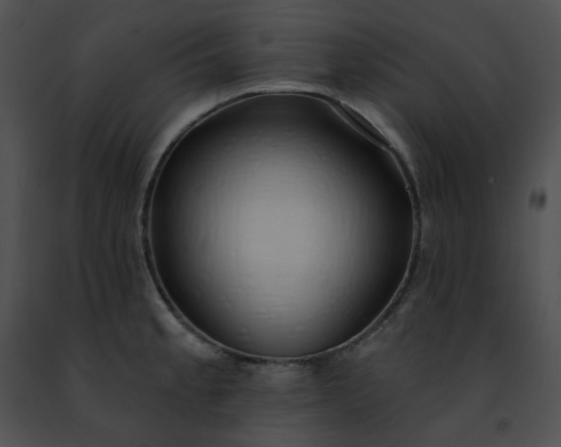 X0000091471189200708301847