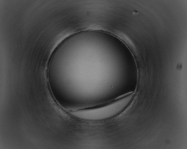 X0000091471190200708301847