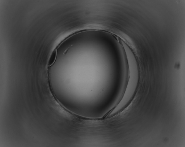 X0000091471192200708301847