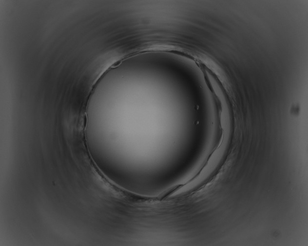 X0000091471193200708301847