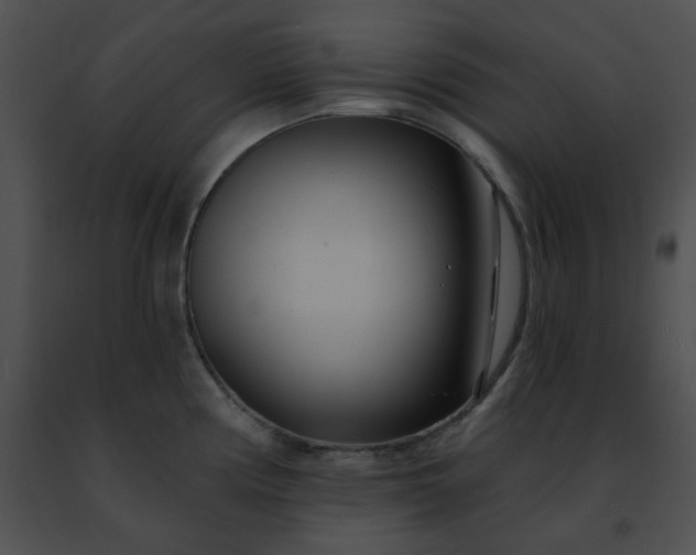 X0000091471194200708301847