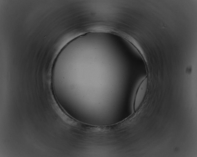 X0000091471195200708301847