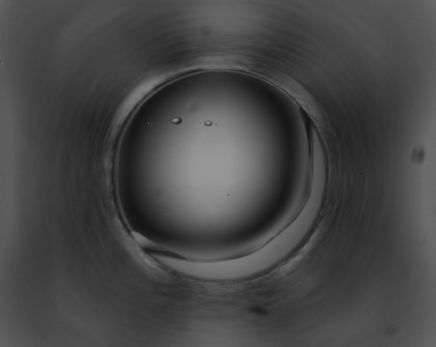 X0000091471196200708301847