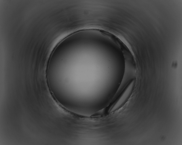 X0000091471197200708301847