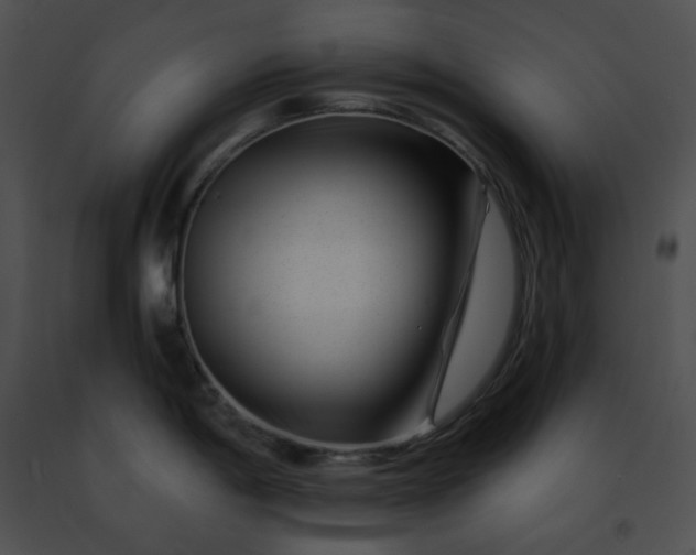 X0000091471198200708301847