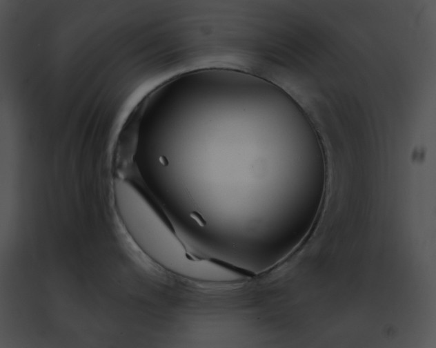 X0000091471200200708301847