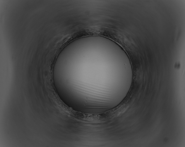 X0000091471201200708301846