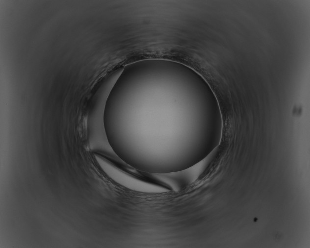 X0000091471202200708301846