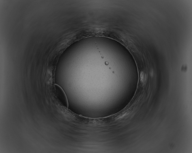 X0000091471203200708301846