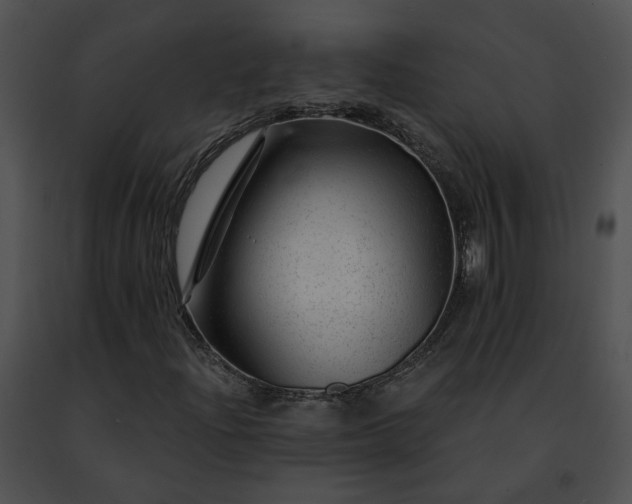 X0000091471204200708301846