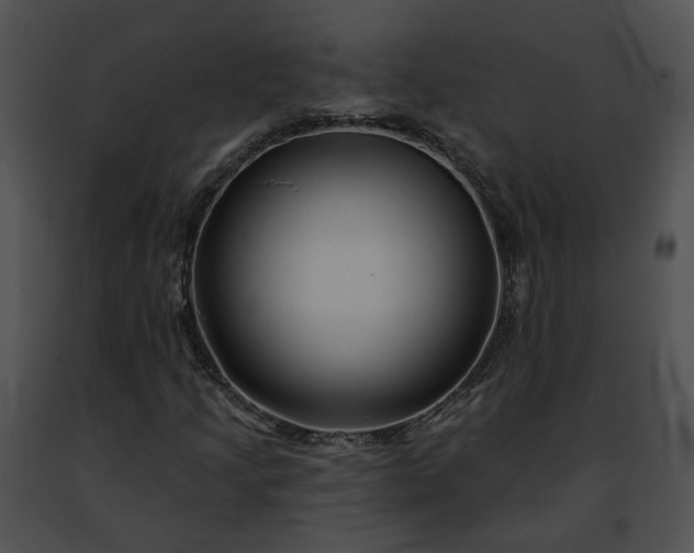 X0000091471205200708301846