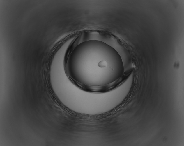 X0000091471206200708301846