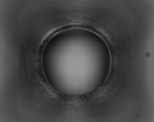 X0000091471208200708301846