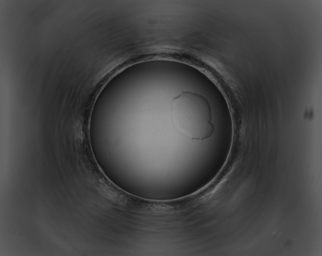 X0000091471209200708301846