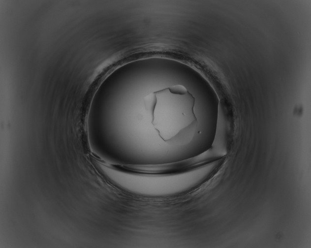 X0000091471210200708301846