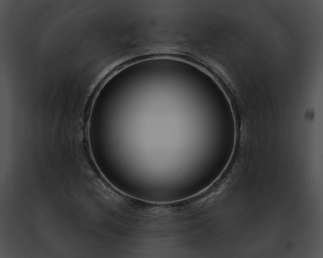 X0000091471212200708301846