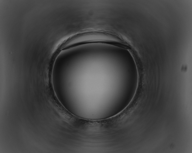 X0000091471214200708301846