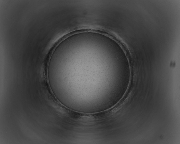 X0000091471215200708301846