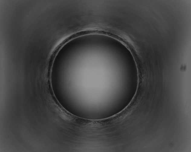 X0000091471216200708301846