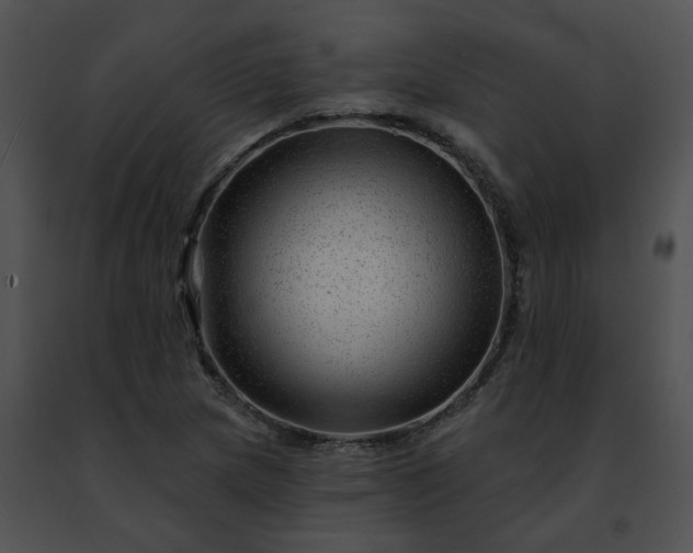 X0000091471217200708301846