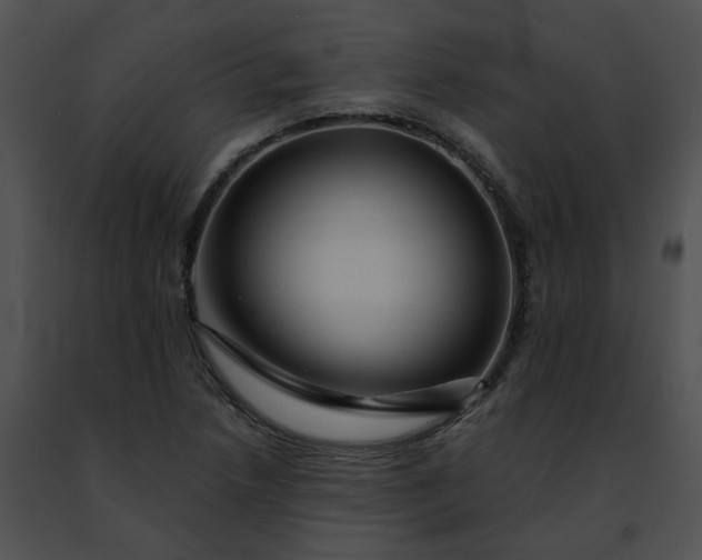 X0000091471218200708301846