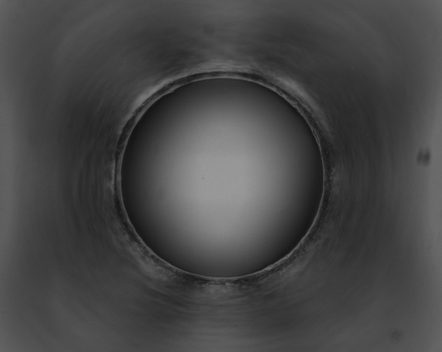 X0000091471220200708301846